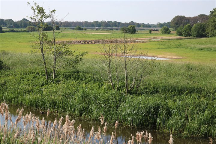 Gebied Radewijkerbeek