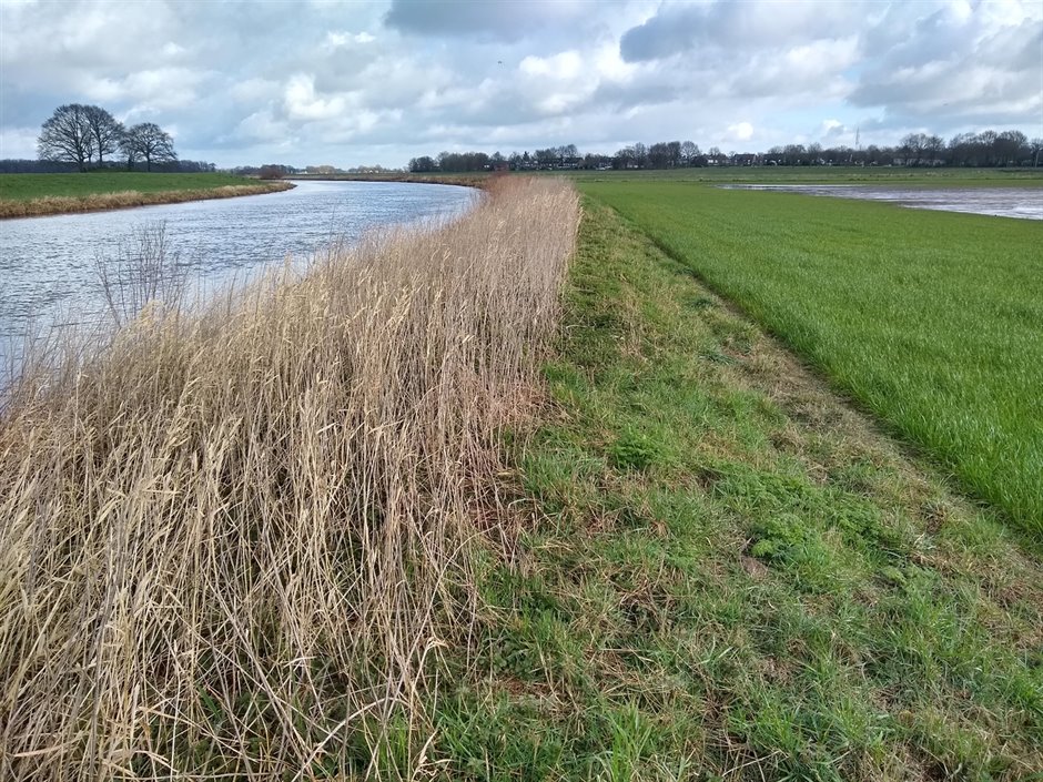 baalder uiterwaard baalder uiterwaard